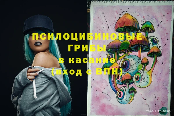 МДПВ Аркадак