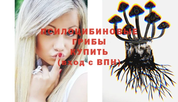 МДПВ Аркадак
