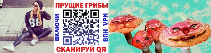 Псилоцибиновые грибы Psilocybe  Радужный 